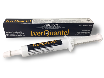 IverQuantel Paste