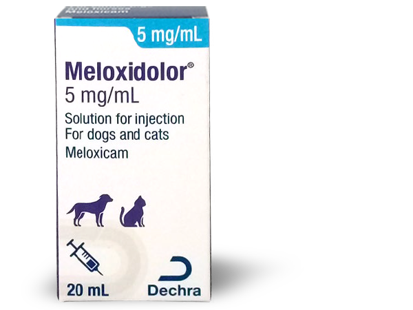 Meloxidolor Dogs