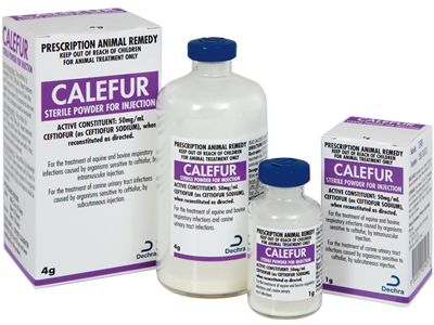 Calefur Sterile Powder for Injection