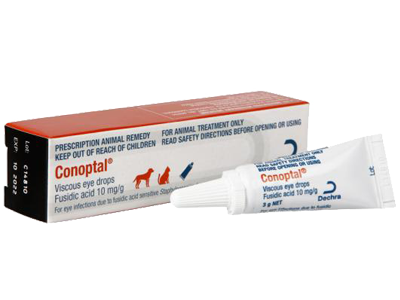 Conoptal eye drops