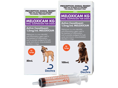 Meloxicam KG for dogs