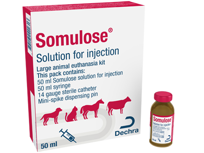 Somulose solution for injection