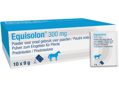 Product_Equisolon_400x300