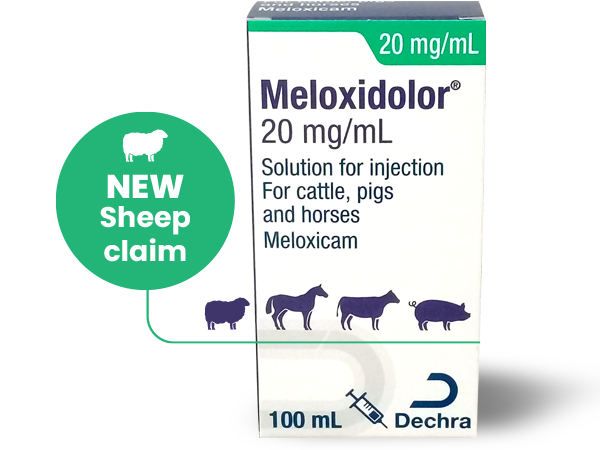 Meloxidolor Cattle